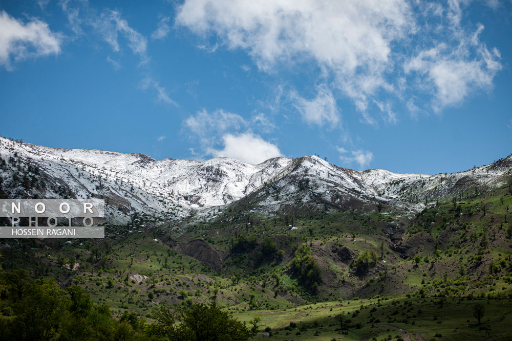 بارش برف بهاری در ارتفاعات جنگل اولنگ استان گلستان