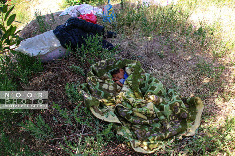 گلاب گیری در روستای حسنارود کاشان