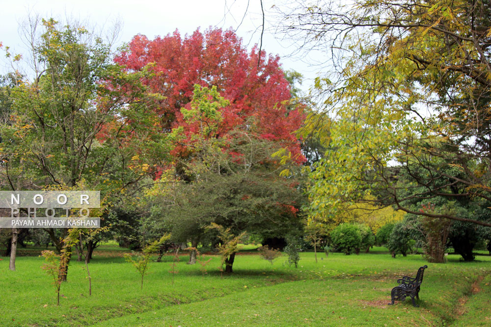 طبیعت پائیزی نوشهر