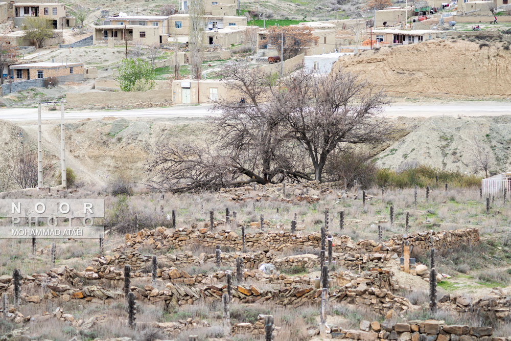 قبرستان باغلق