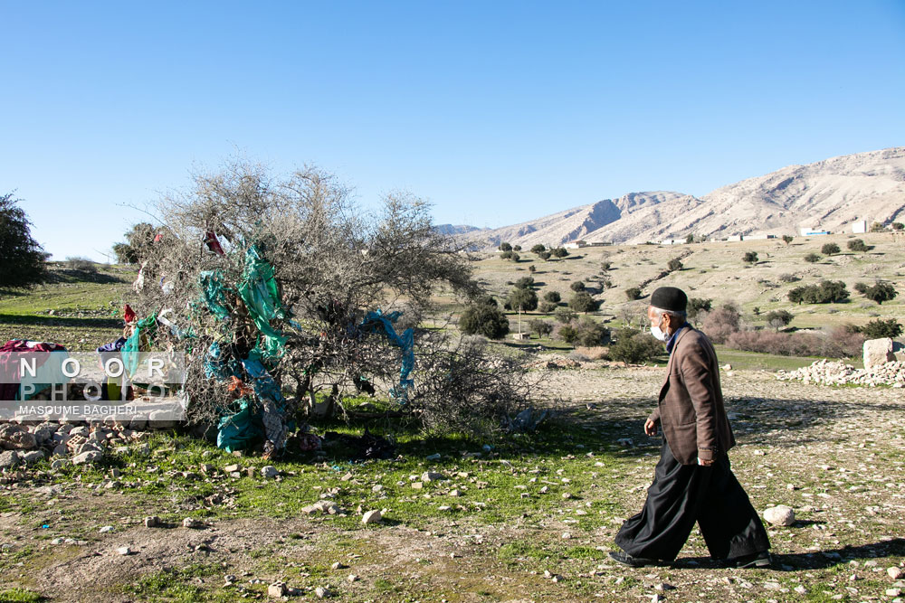 درخت کنارمعروف به پیرمنگرون درنزدیکی تالاب آب زالوی اندیکا واقع شده.این درخت که ارتفاع آن کم است،برای مردم محلی به سبب همسایگی اش درمقبره یکی ازدختران امام موسی کاظم از قداست بالایی برخوردار است و به شاخه هایش اشیادخترانه وپارچه وصل میکنند