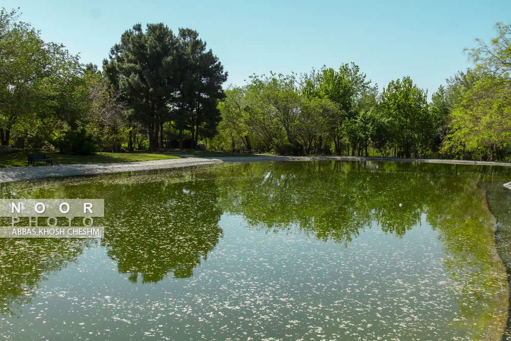 باغ ملی گیاه شناسی ایران