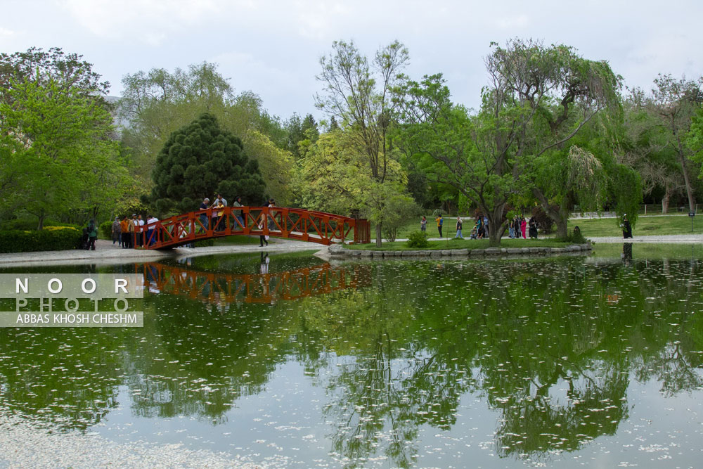 باغ ملی گیاه شناسی ایران