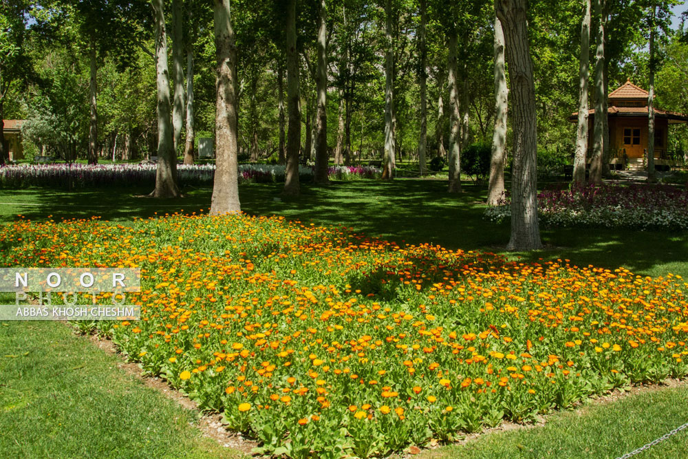 باغ ملی گیاه شناسی ایران