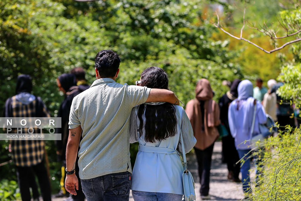 باغ ملی گیاه شناسی ایران