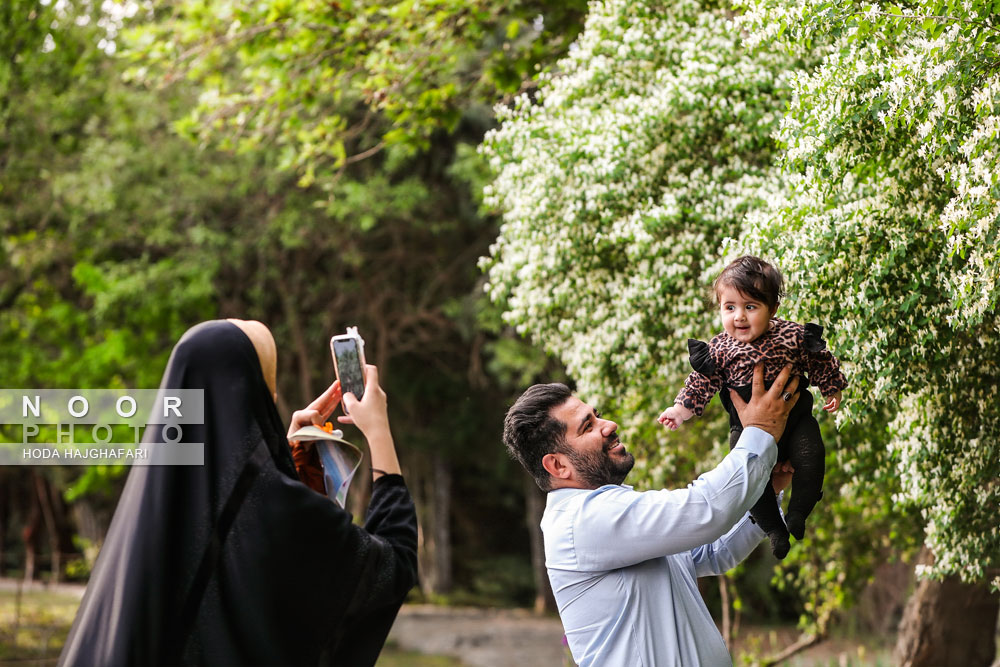 باغ ملی گیاه شناسی ایران