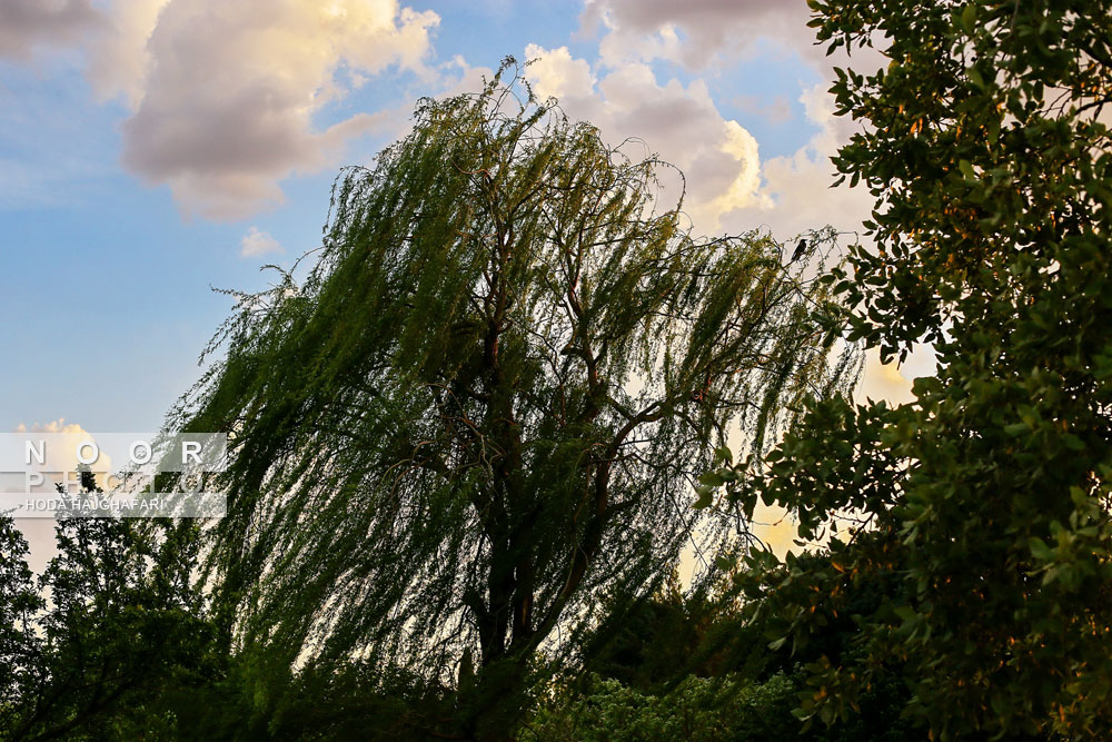 باغ ملی گیاه شناسی ایران