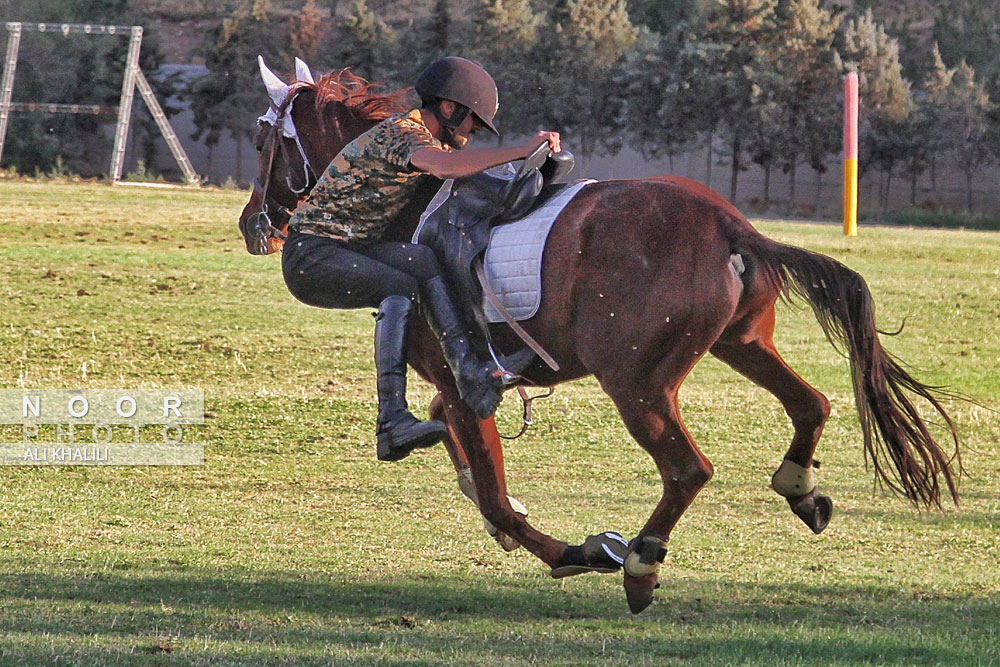 مجموعه اسب سواری و چوگان شهدا