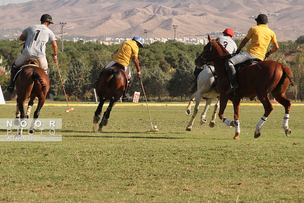 مجموعه اسب سواری و چوگان شهدا