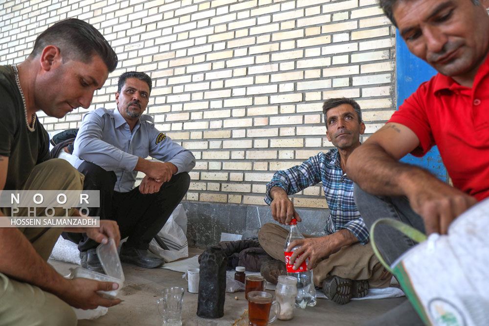 باغ پسته شرکت بینالود نیشابور