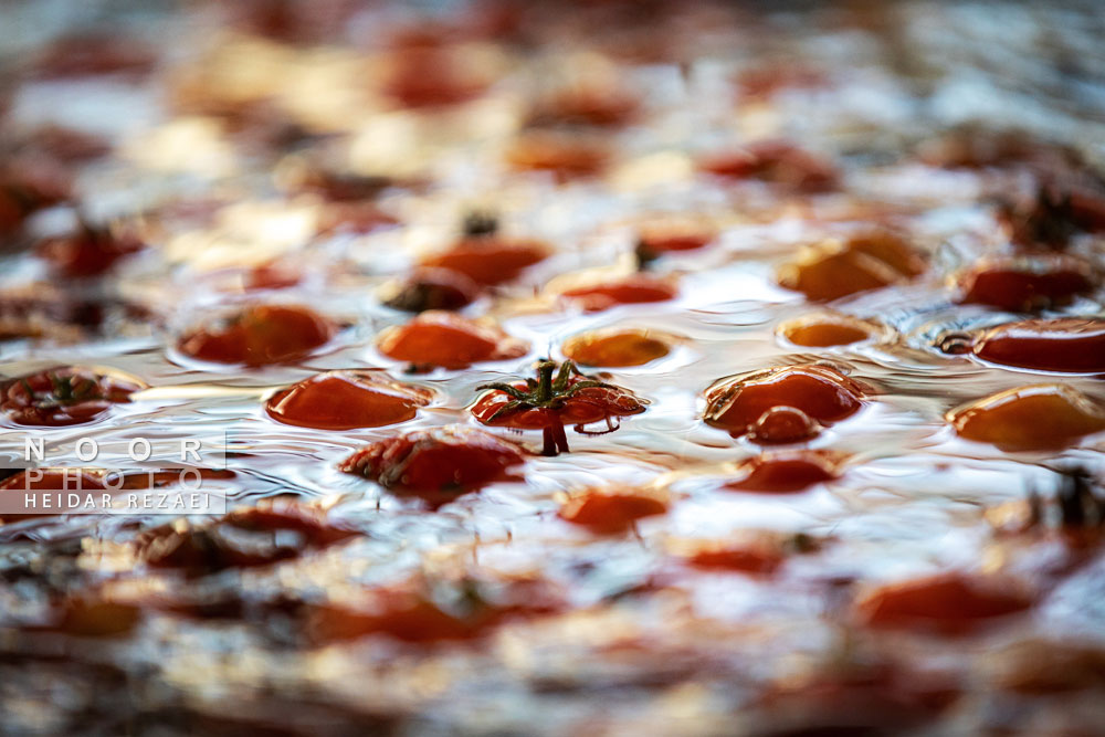 کارخانه رب گوجه فرنگی