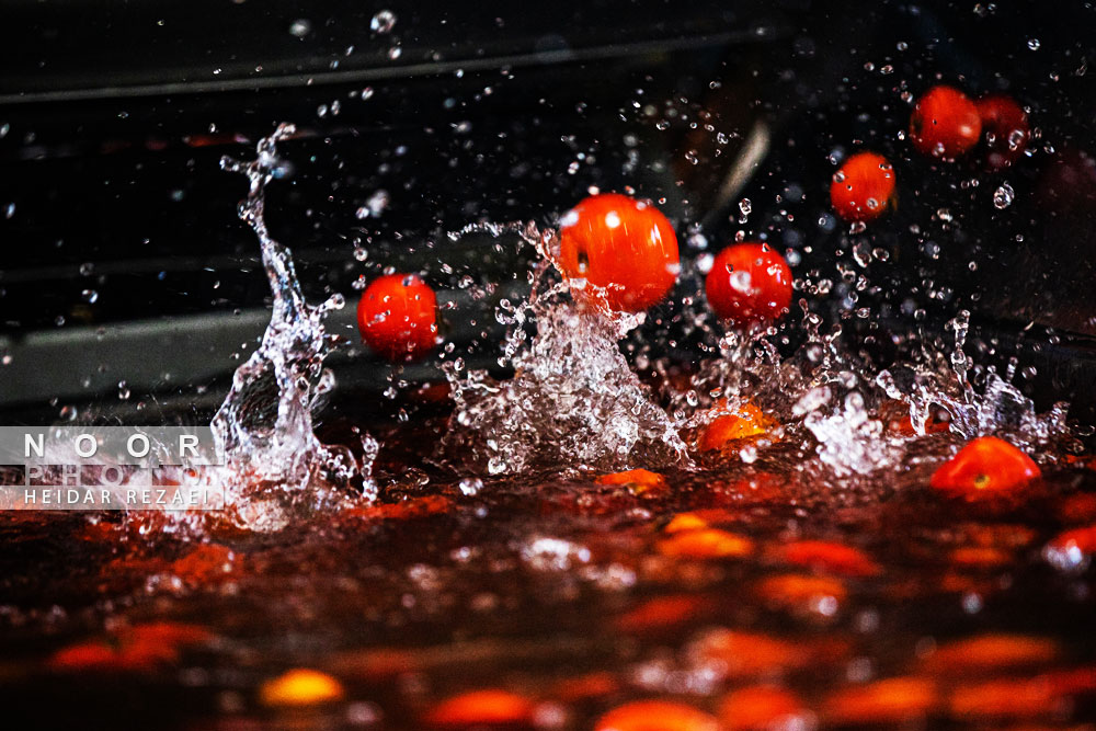 کارخانه رب گوجه فرنگی