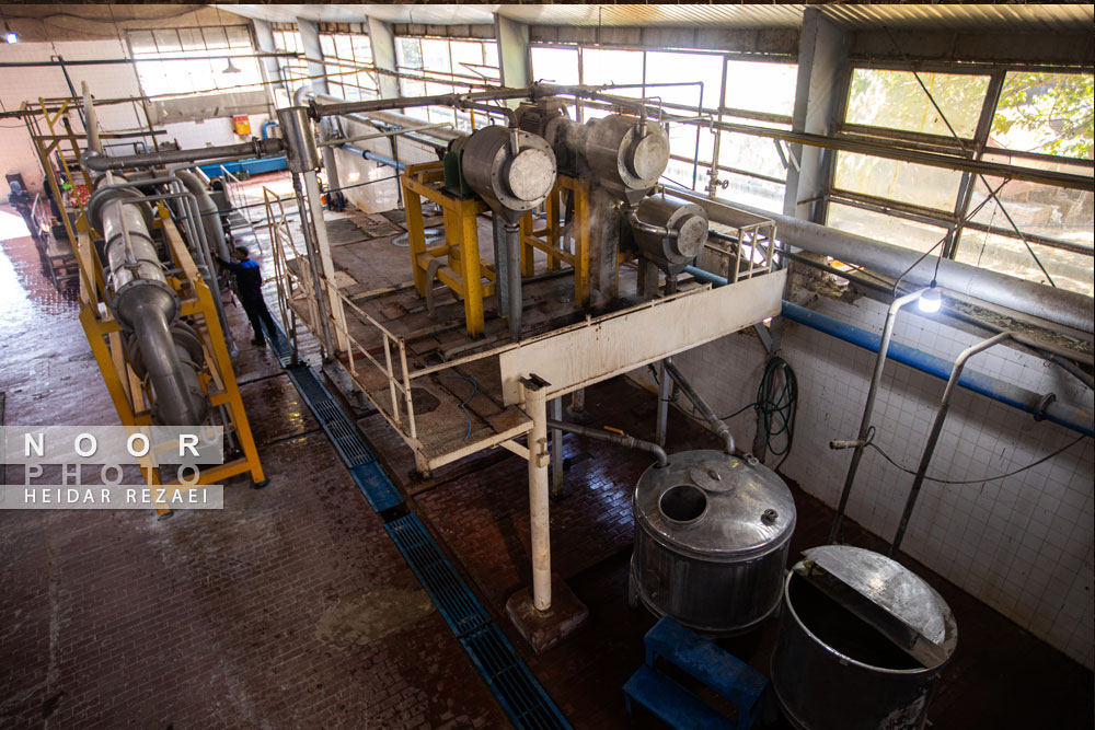 کارخانه رب گوجه فرنگی