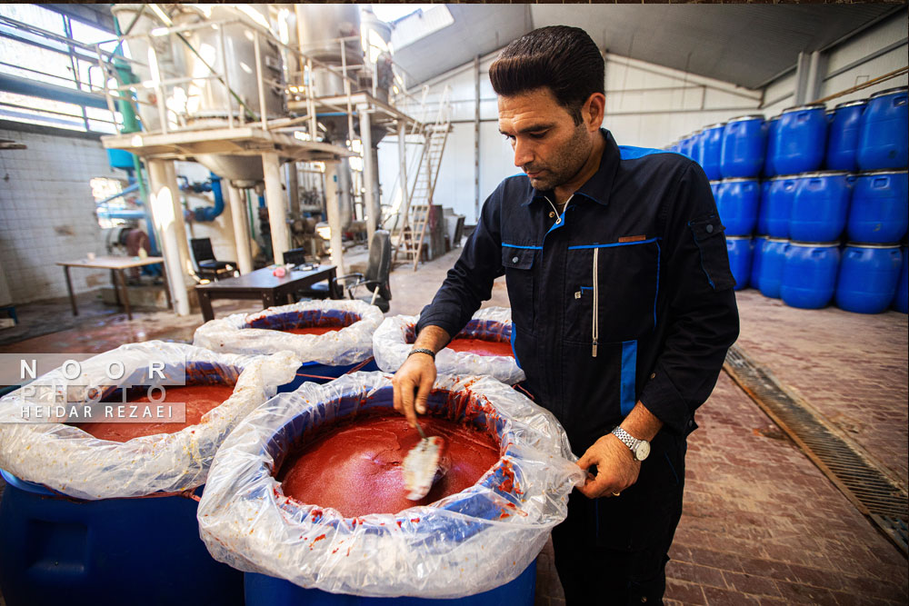 کارخانه رب گوجه فرنگی