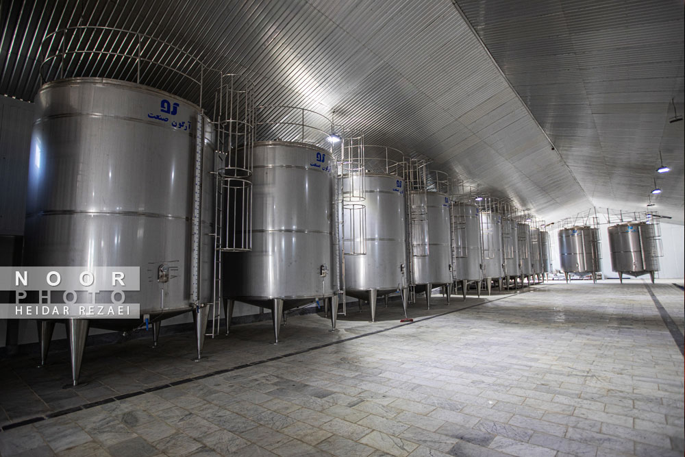 کارخانه رب گوجه فرنگی