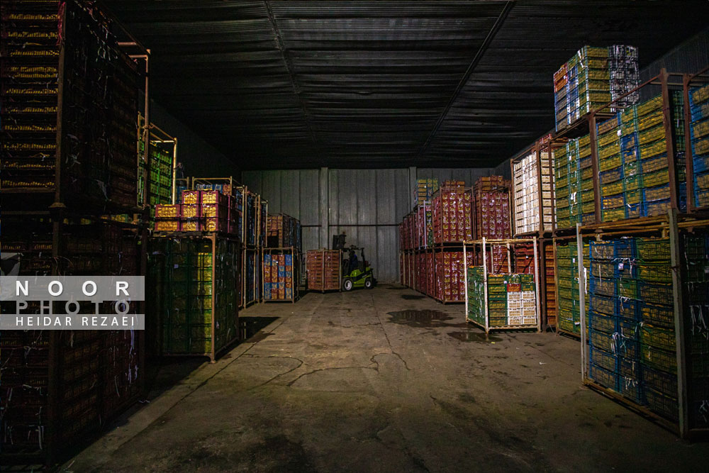 کارخانه رب گوجه فرنگی