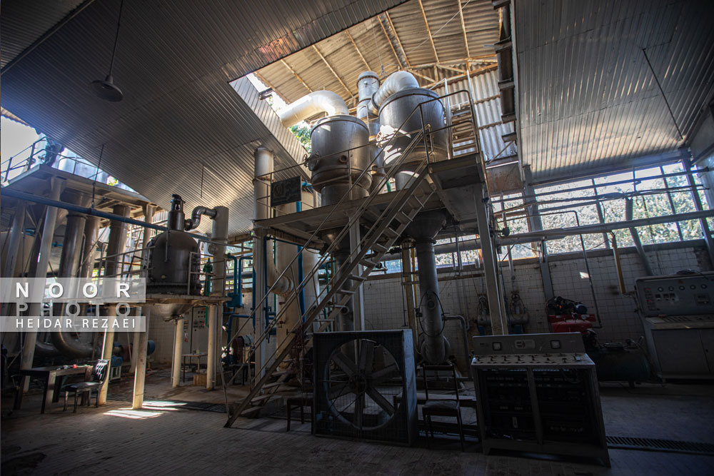 کارخانه رب گوجه فرنگی