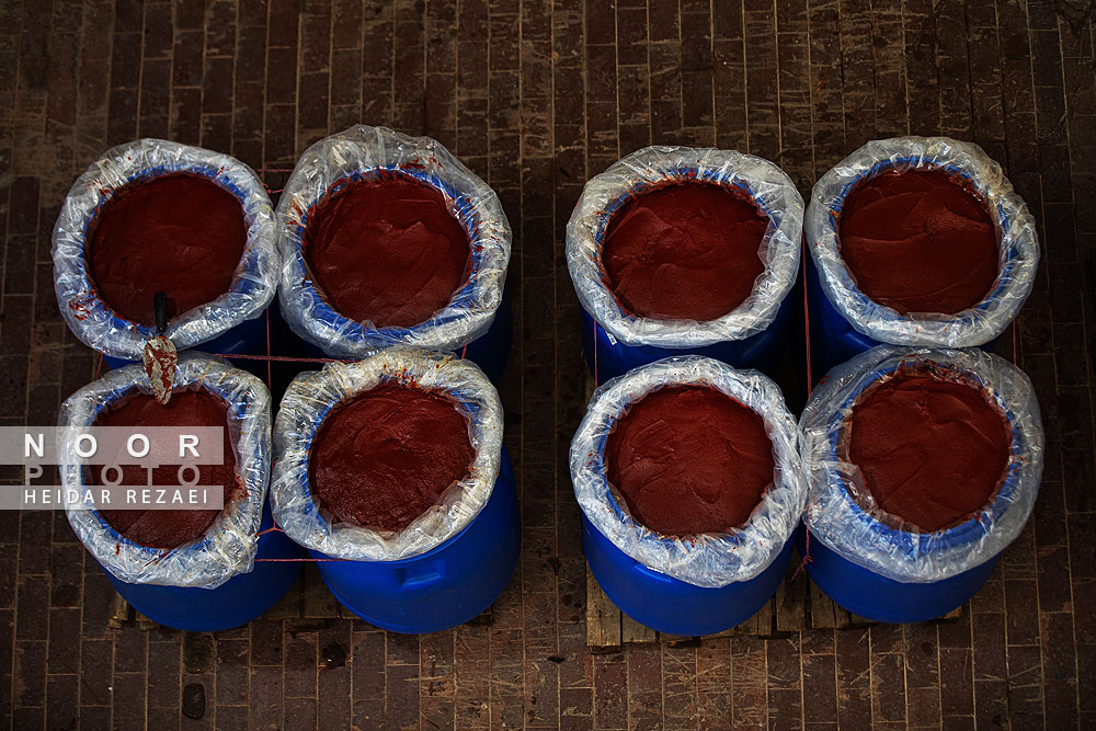 کارخانه رب گوجه فرنگی