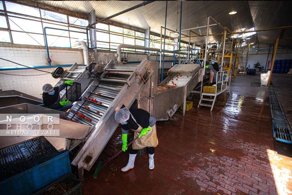 کارخانه رب گوجه فرنگی