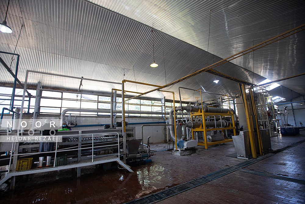 کارخانه رب گوجه فرنگی