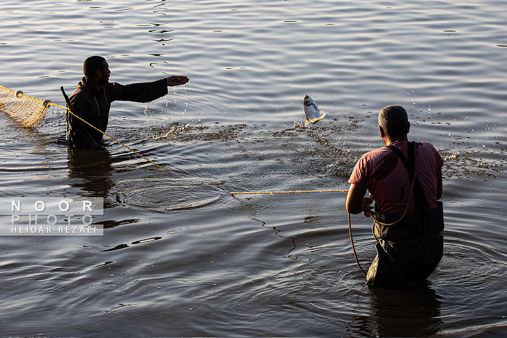 آب بندان های پرورش ماهی