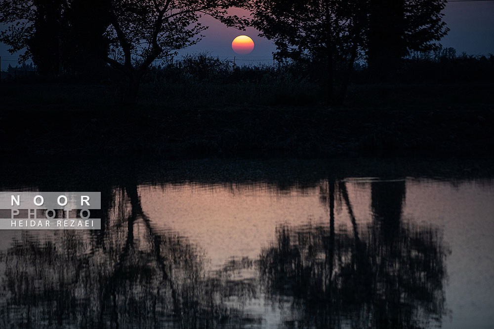 آب بندان های پرورش ماهی