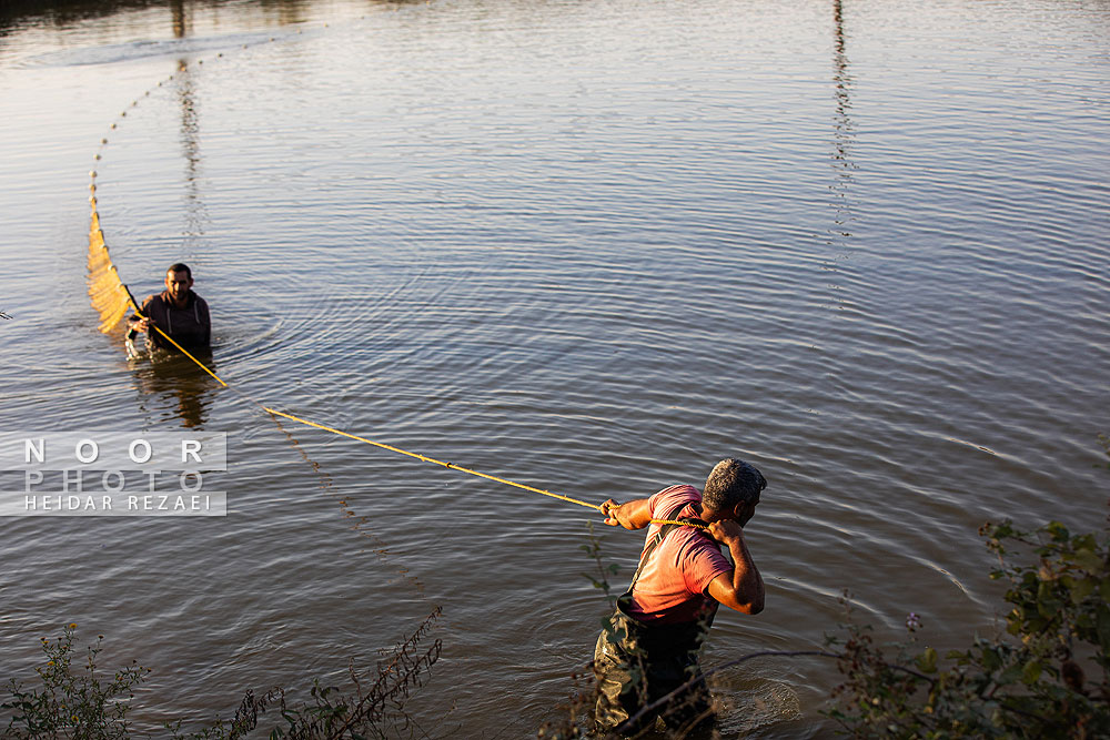 آب بندان های پرورش ماهی