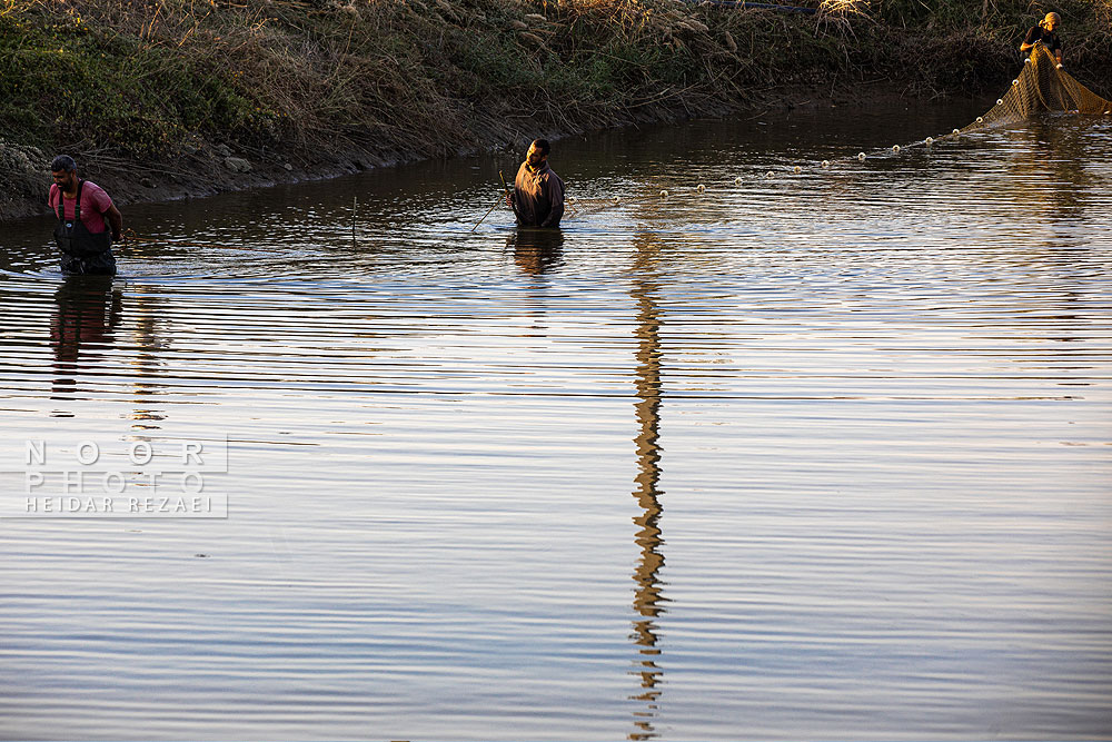 آب بندان های پرورش ماهی