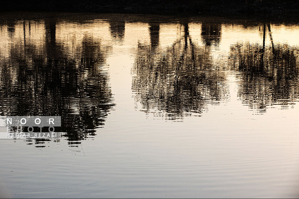 آب بندان های پرورش ماهی