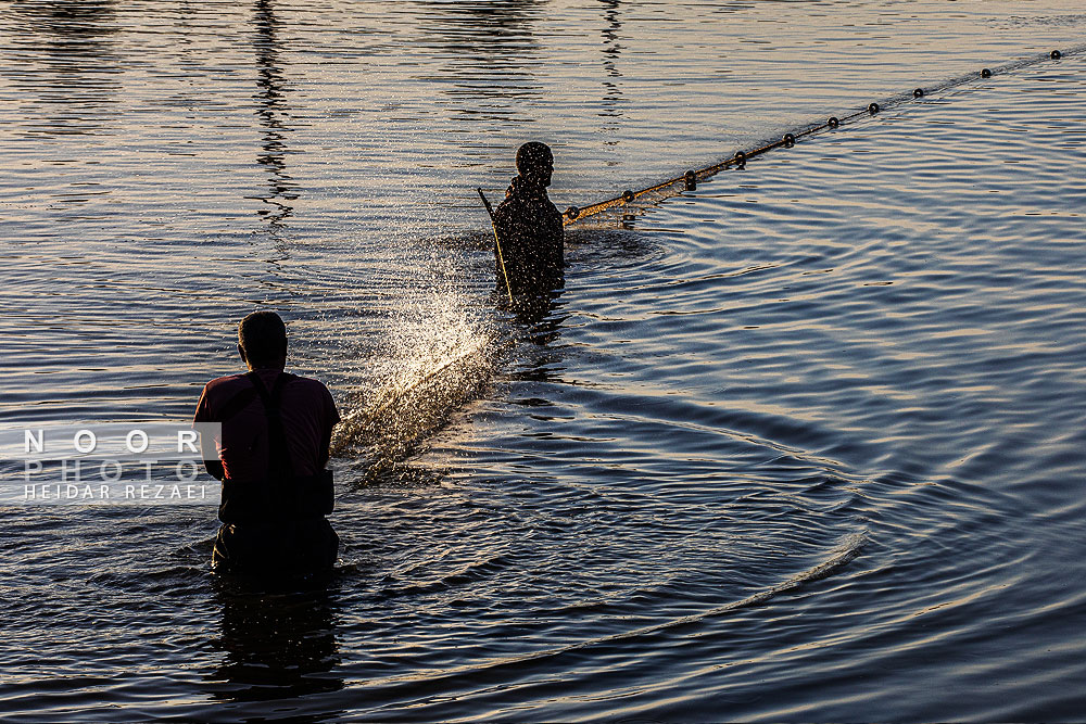 آب بندان های پرورش ماهی