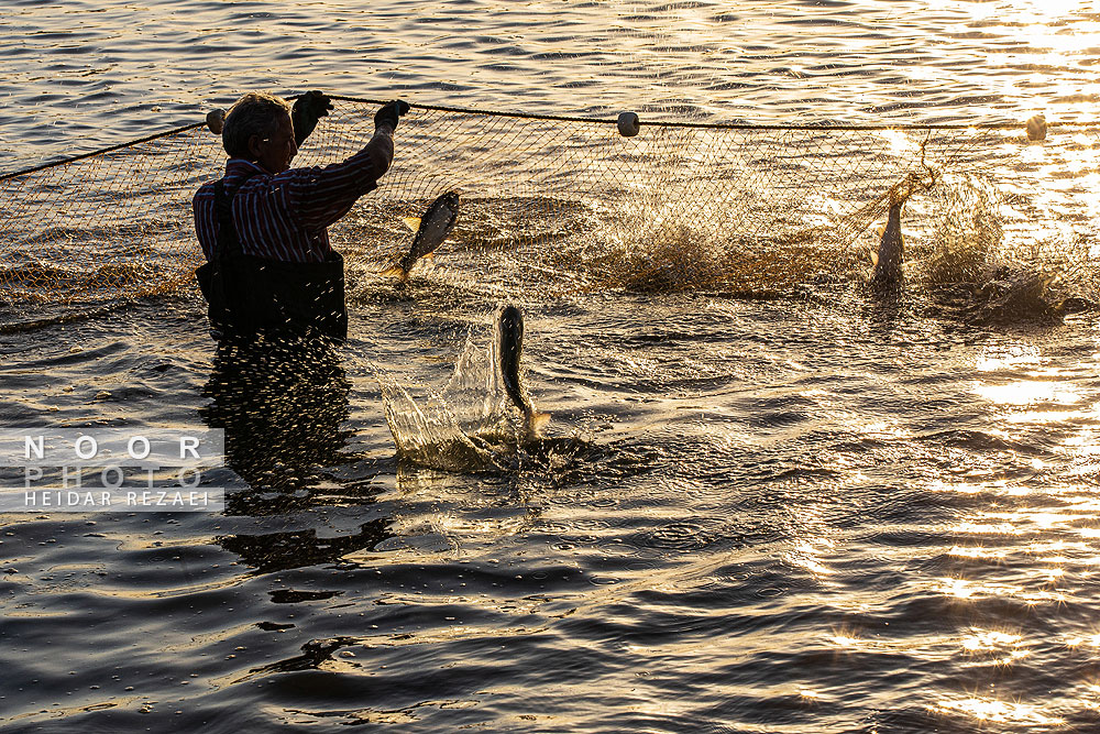آب بندان های پرورش ماهی