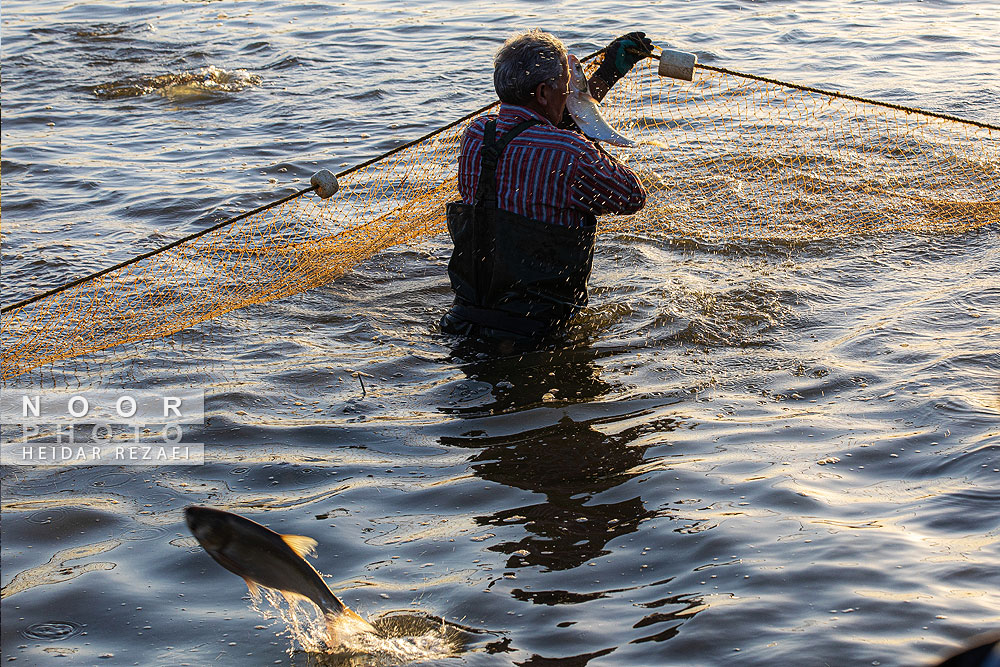آب بندان های پرورش ماهی