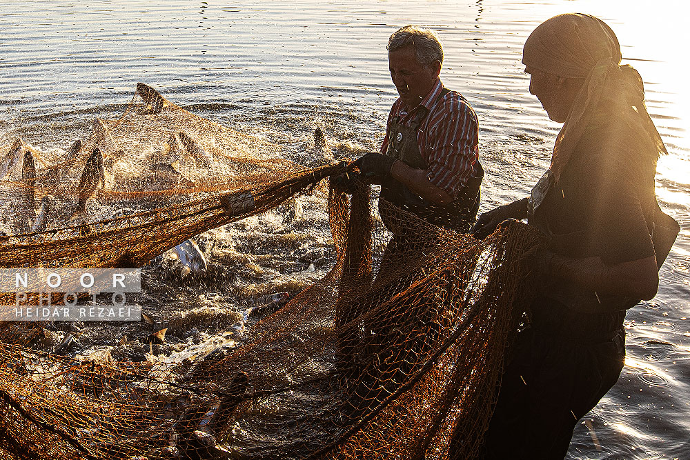 آب بندان های پرورش ماهی