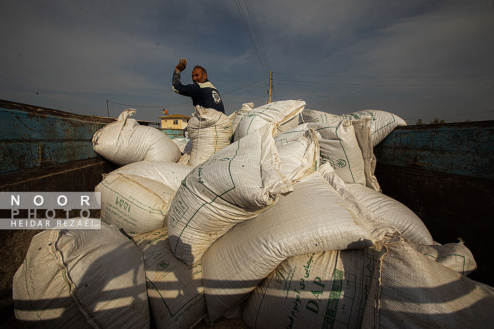 مزرعه دامپروری چپرقویمه گنبد کاووس