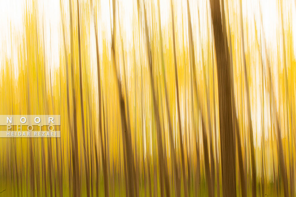 طبیعت پائیزی جنگل دالخانی و نمک آبرود