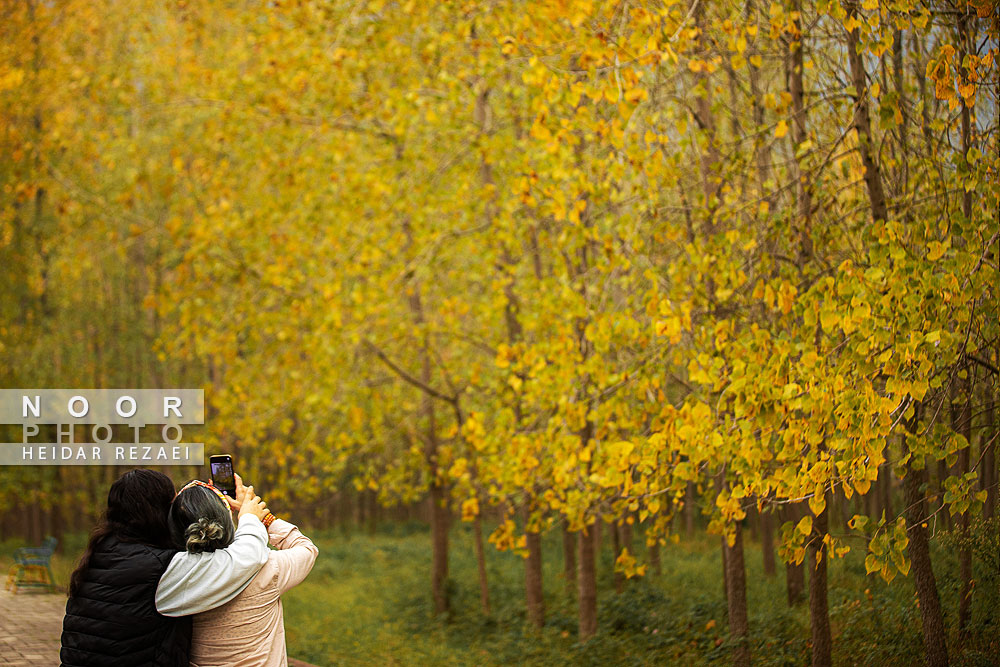 طبیعت پائیزی جنگل دالخانی و نمک آبرود