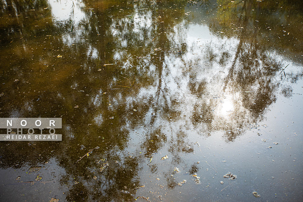 طبیعت پائیزی جنگل دالخانی و نمک آبرود