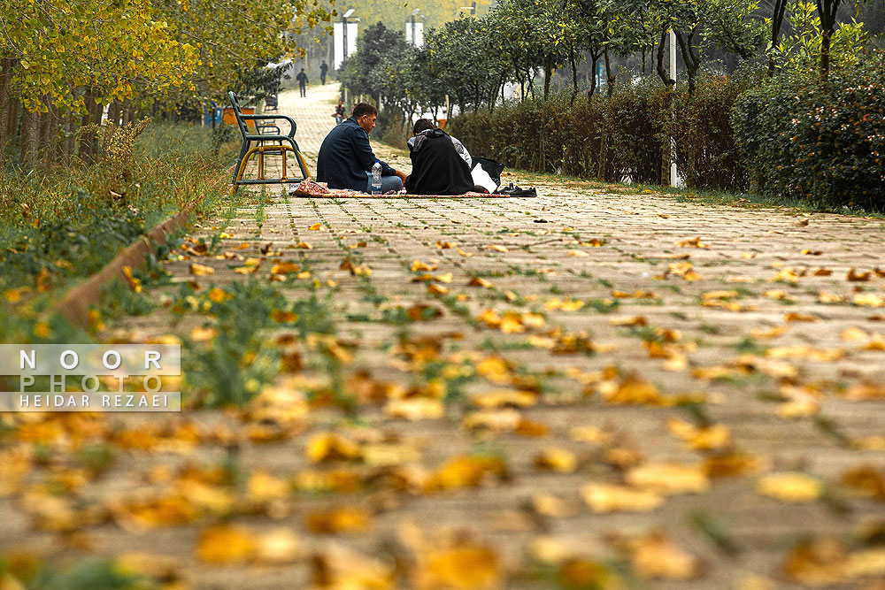 طبیعت پائیزی جنگل دالخانی و نمک آبرود