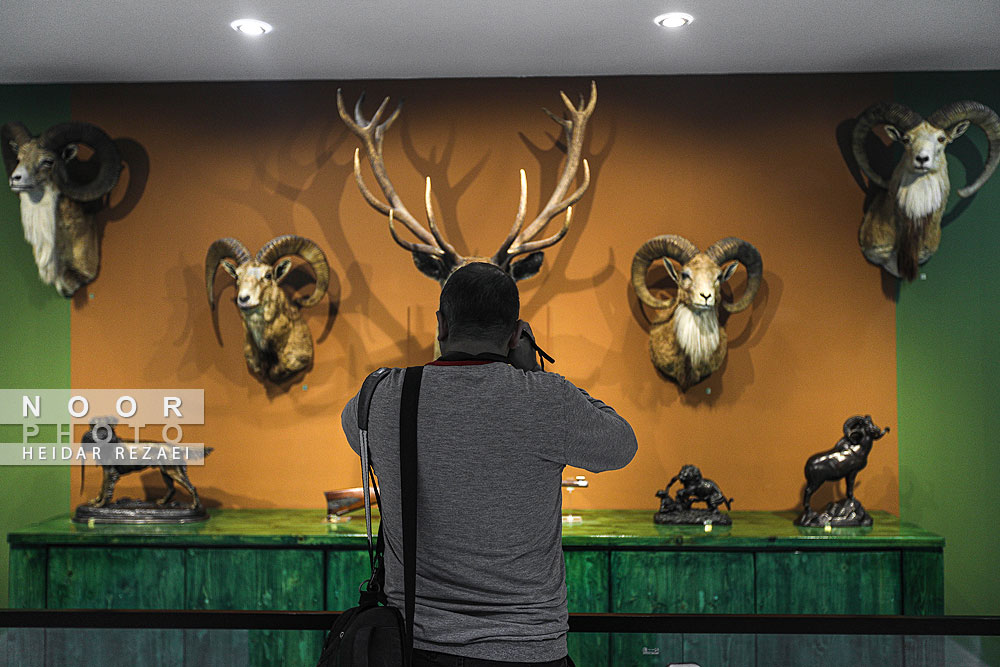 پردیس موزه ای رامسر