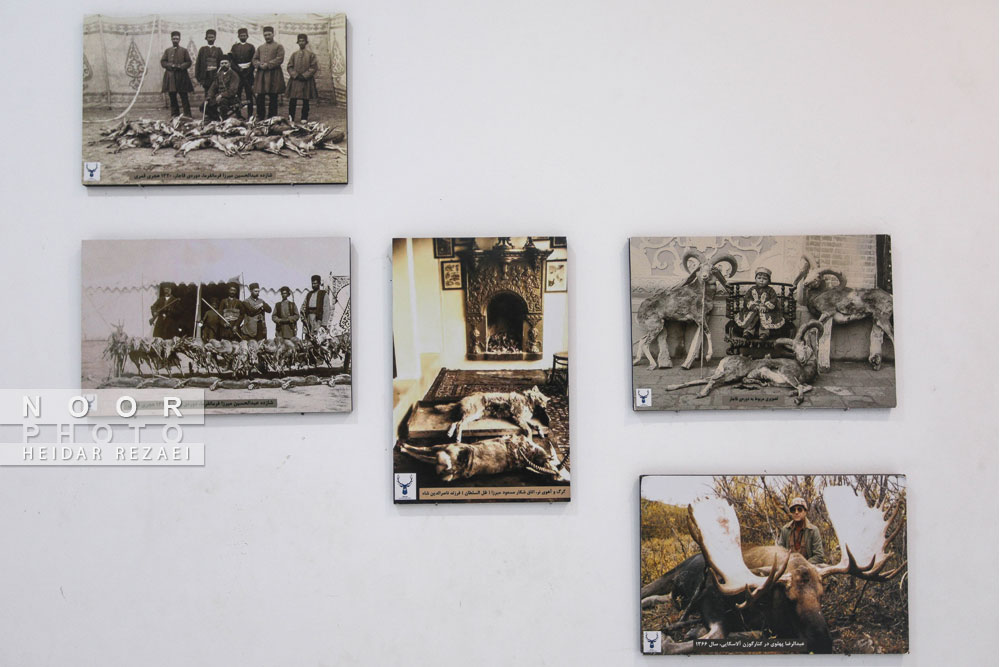 پردیس موزه ای رامسر