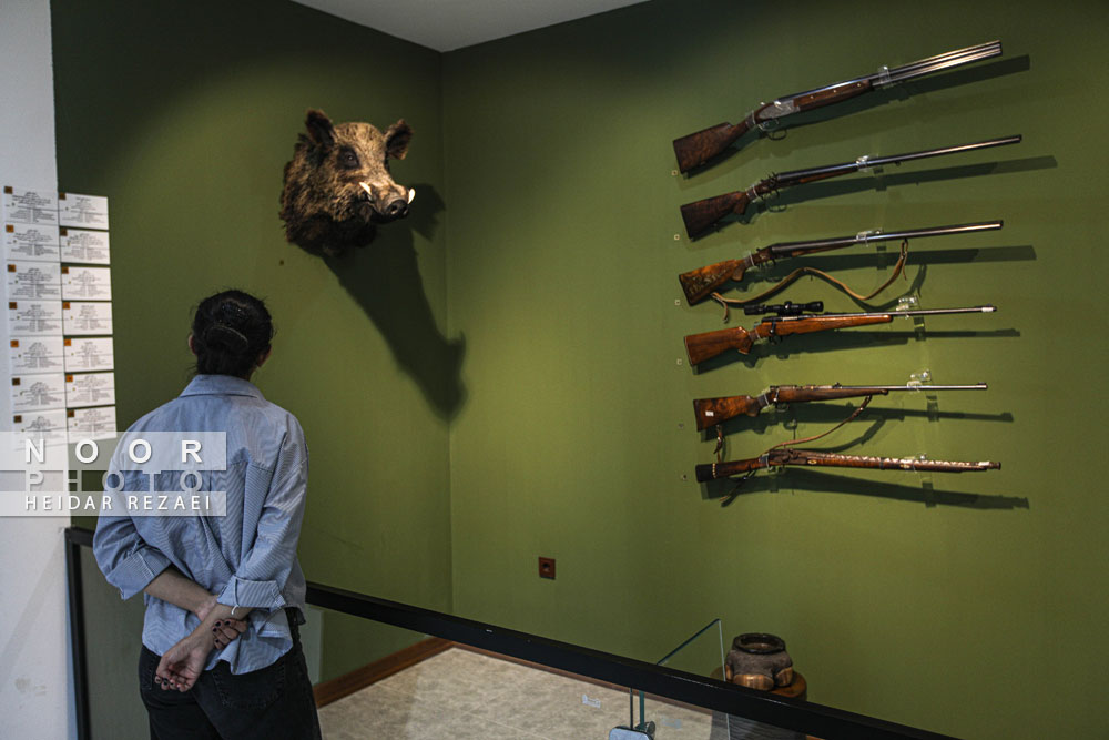 پردیس موزه ای رامسر