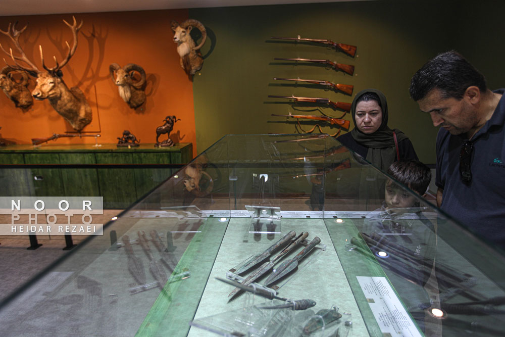 پردیس موزه ای رامسر