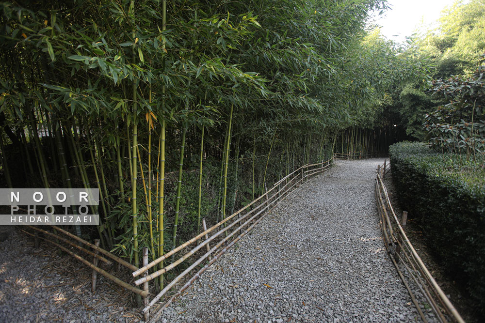 پردیس موزه ای رامسر