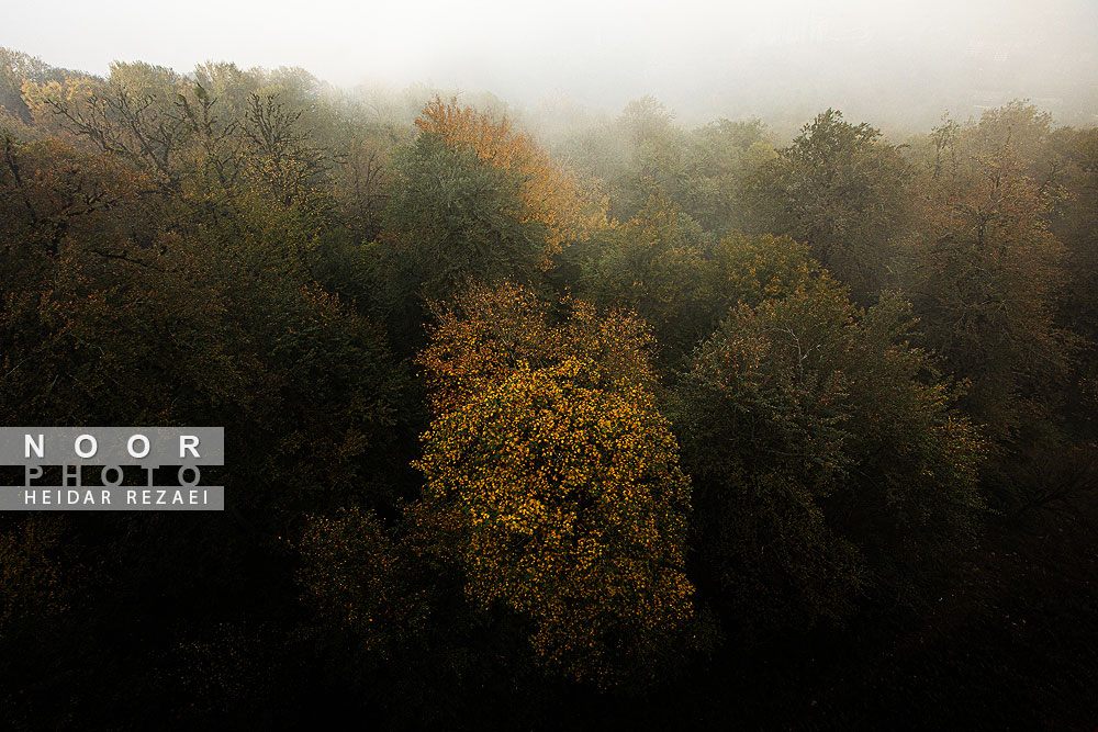 مجموعه تفریحی نمک آبرود