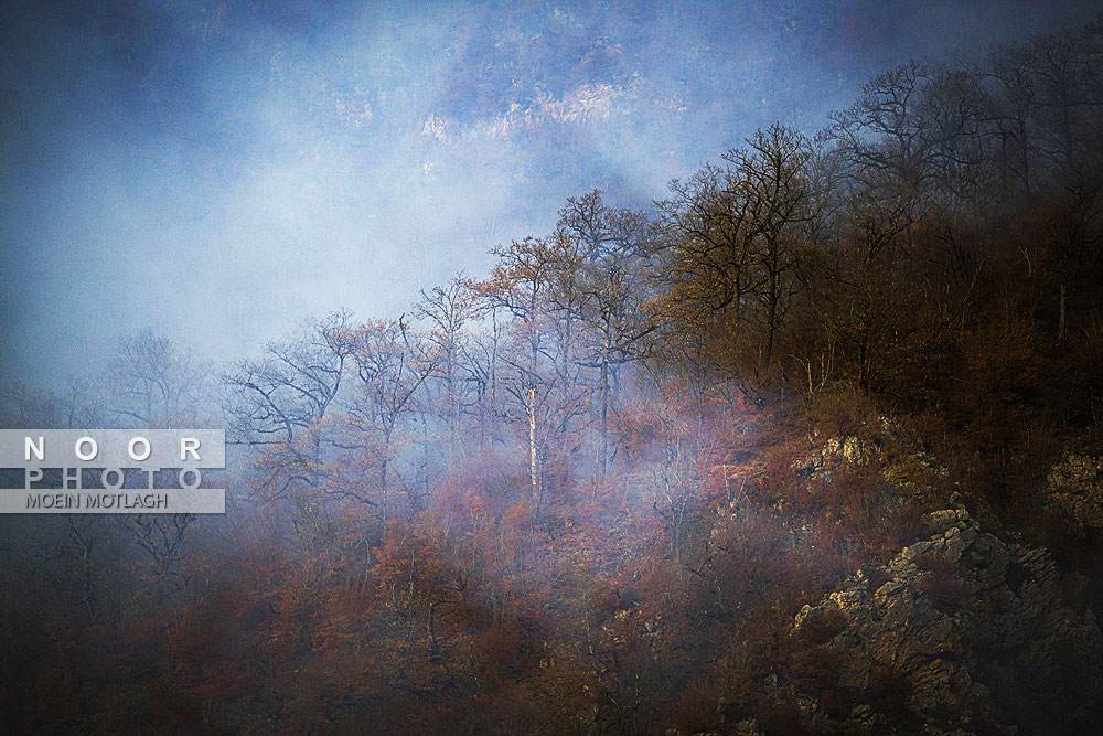 اطفای حریق هوایی در جنگل‌های توسکستان