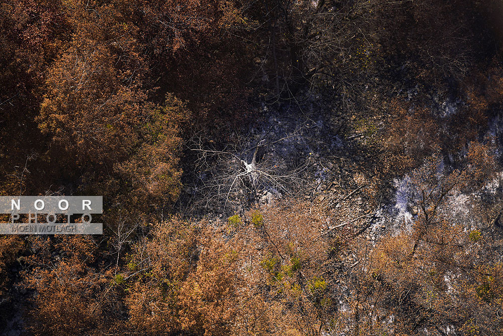 اطفای حریق هوایی در جنگل‌های توسکستان