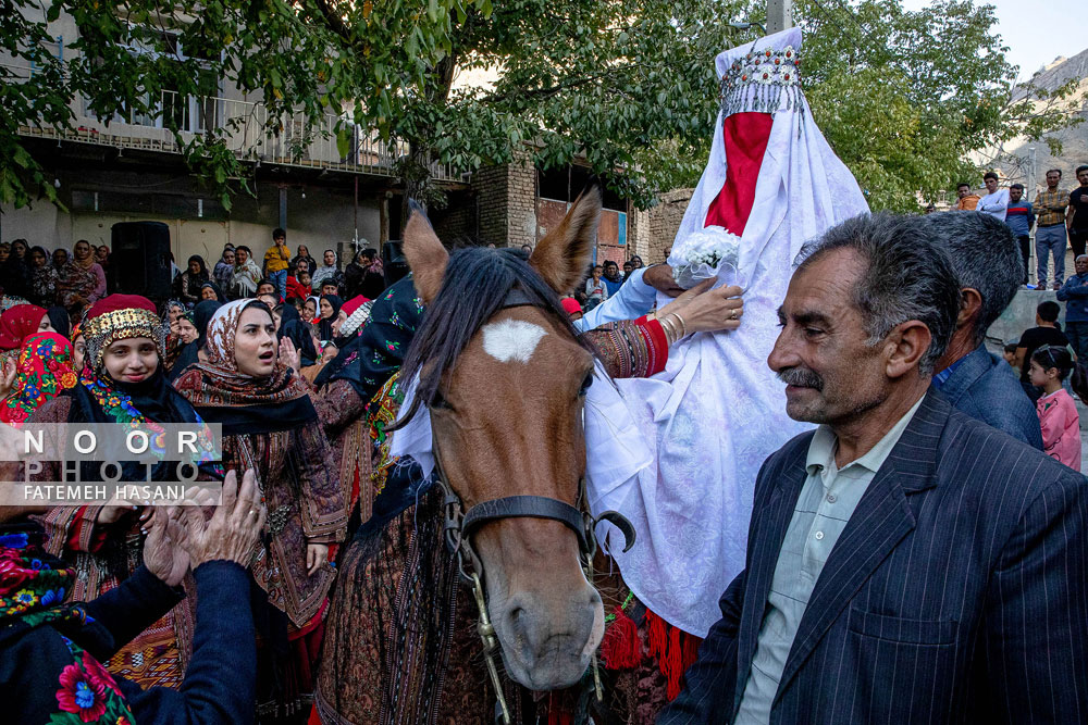 عروسی محلی کلات نادری