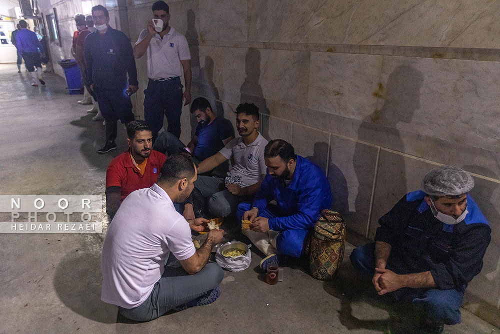 کشتارگاه زربال مرغ آمل
