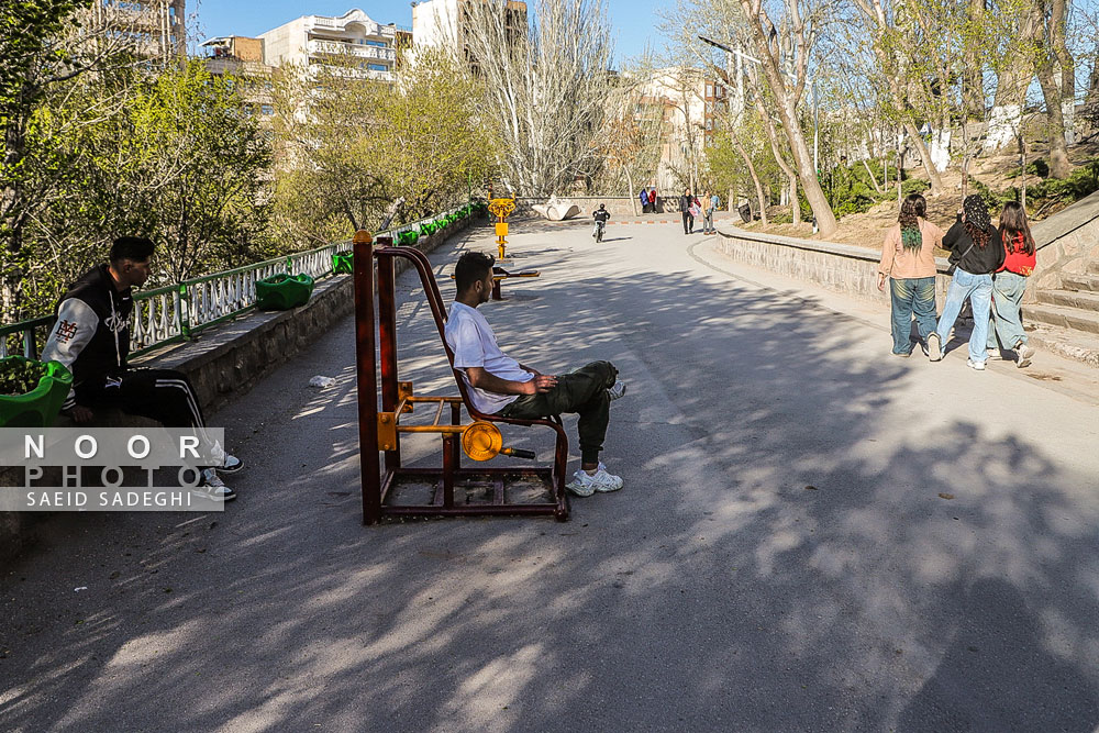 جوانان تبریزی در پارک ائل گلی