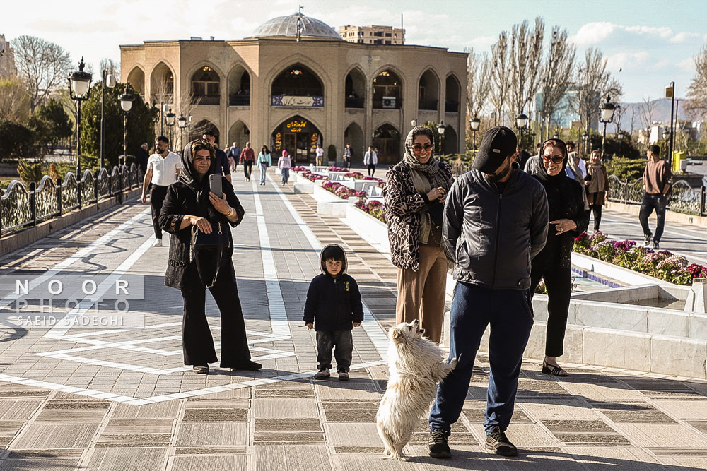 جوانان تبریزی در پارک ائل گلی